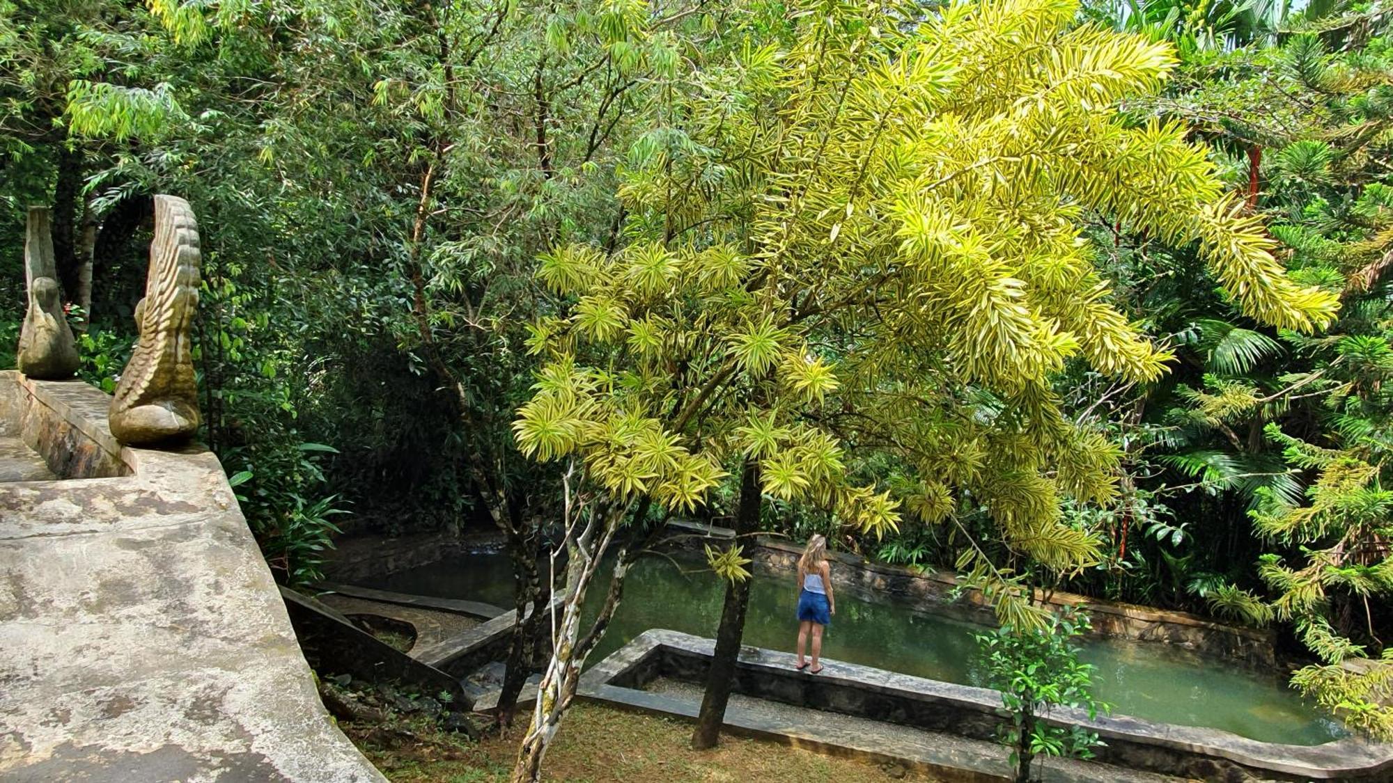 Singharaja Garden Agro Eco Lodge Pelawatta  Esterno foto