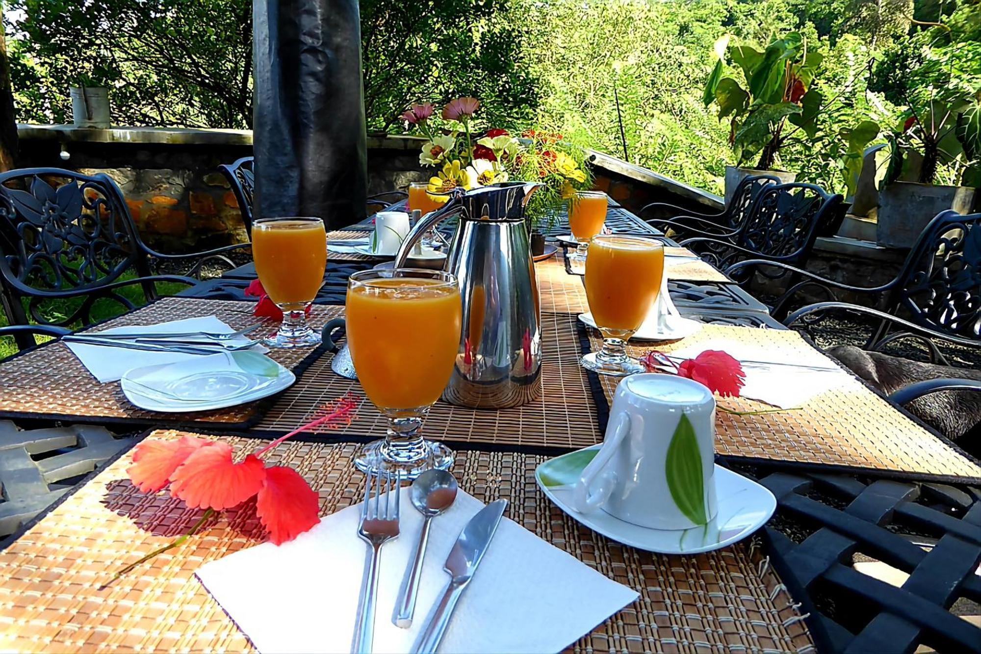 Singharaja Garden Agro Eco Lodge Pelawatta  Esterno foto