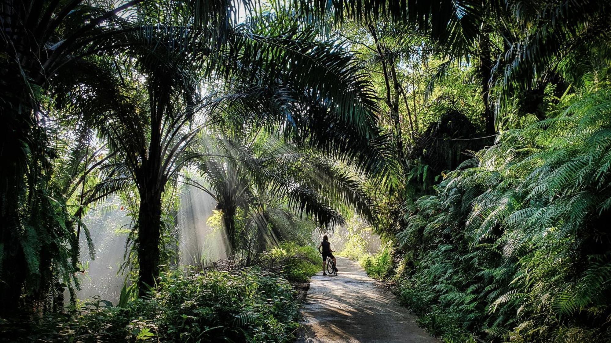 Singharaja Garden Agro Eco Lodge Pelawatta  Esterno foto