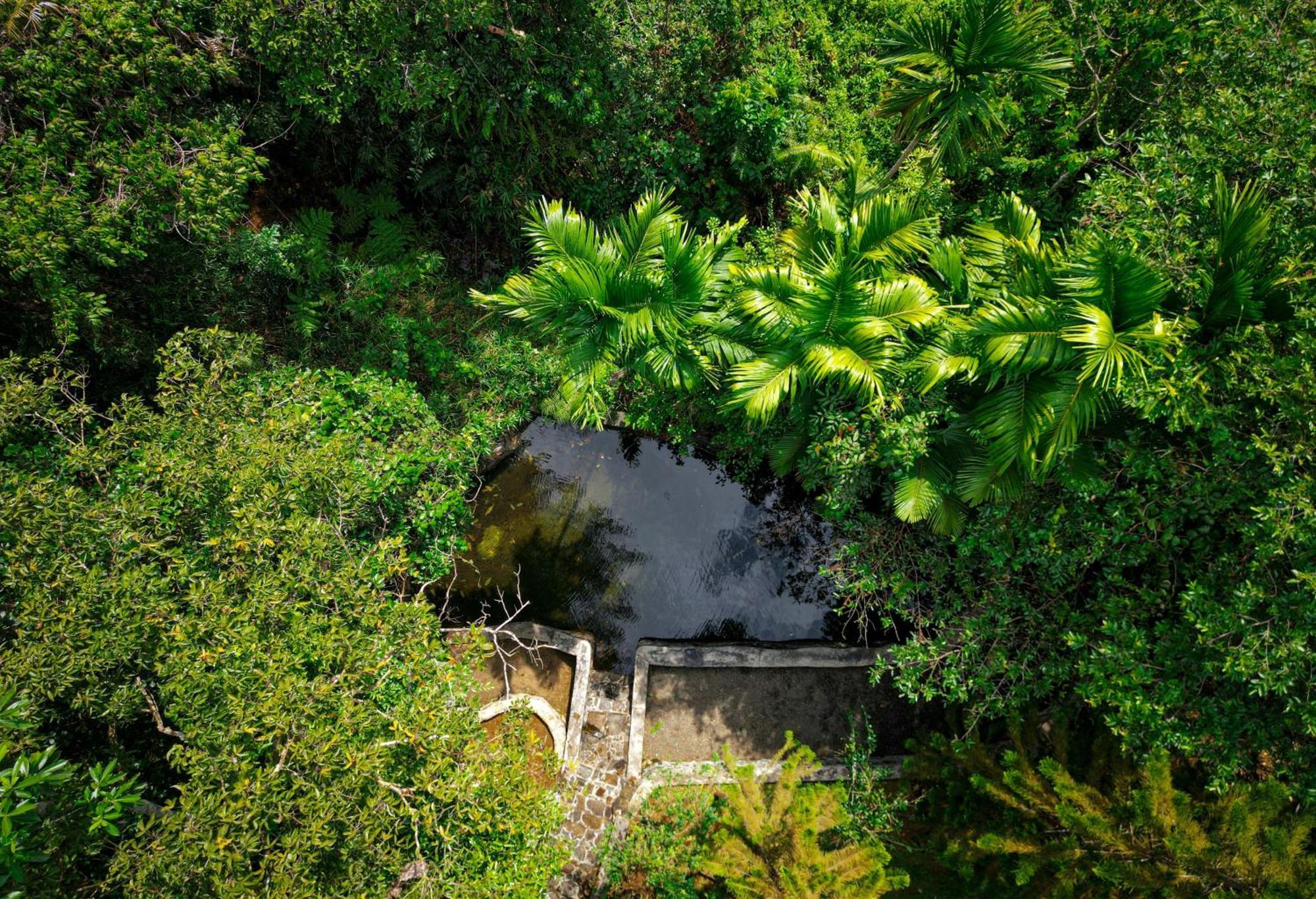 Singharaja Garden Agro Eco Lodge Pelawatta  Esterno foto
