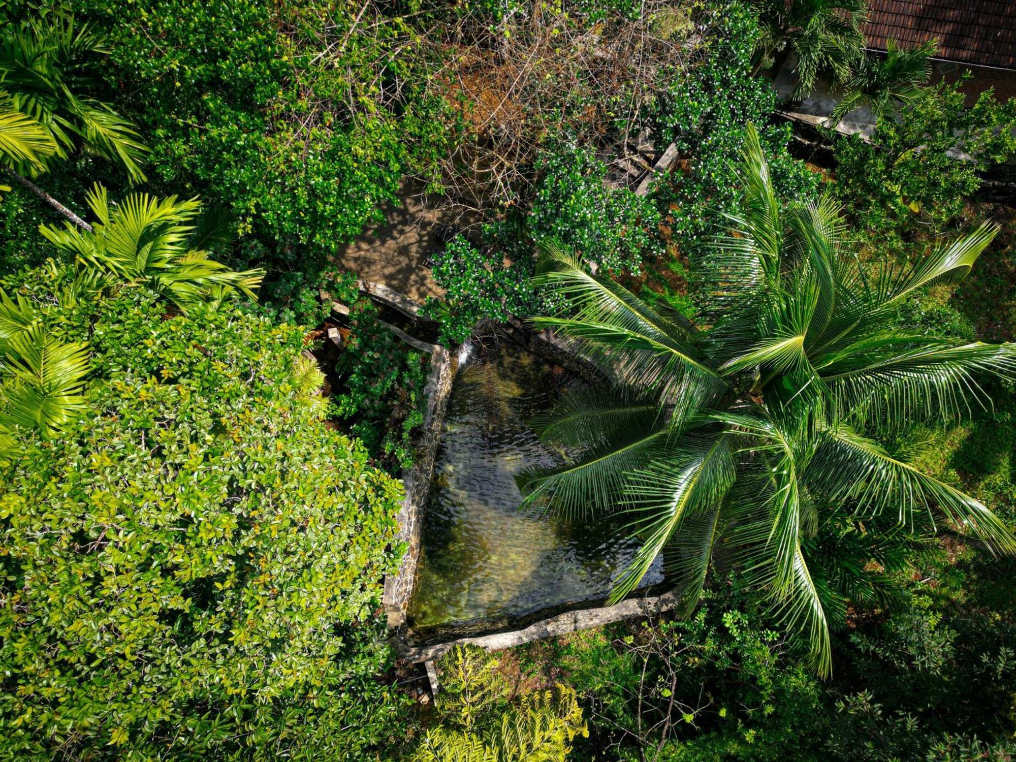 Singharaja Garden Agro Eco Lodge Pelawatta  Esterno foto