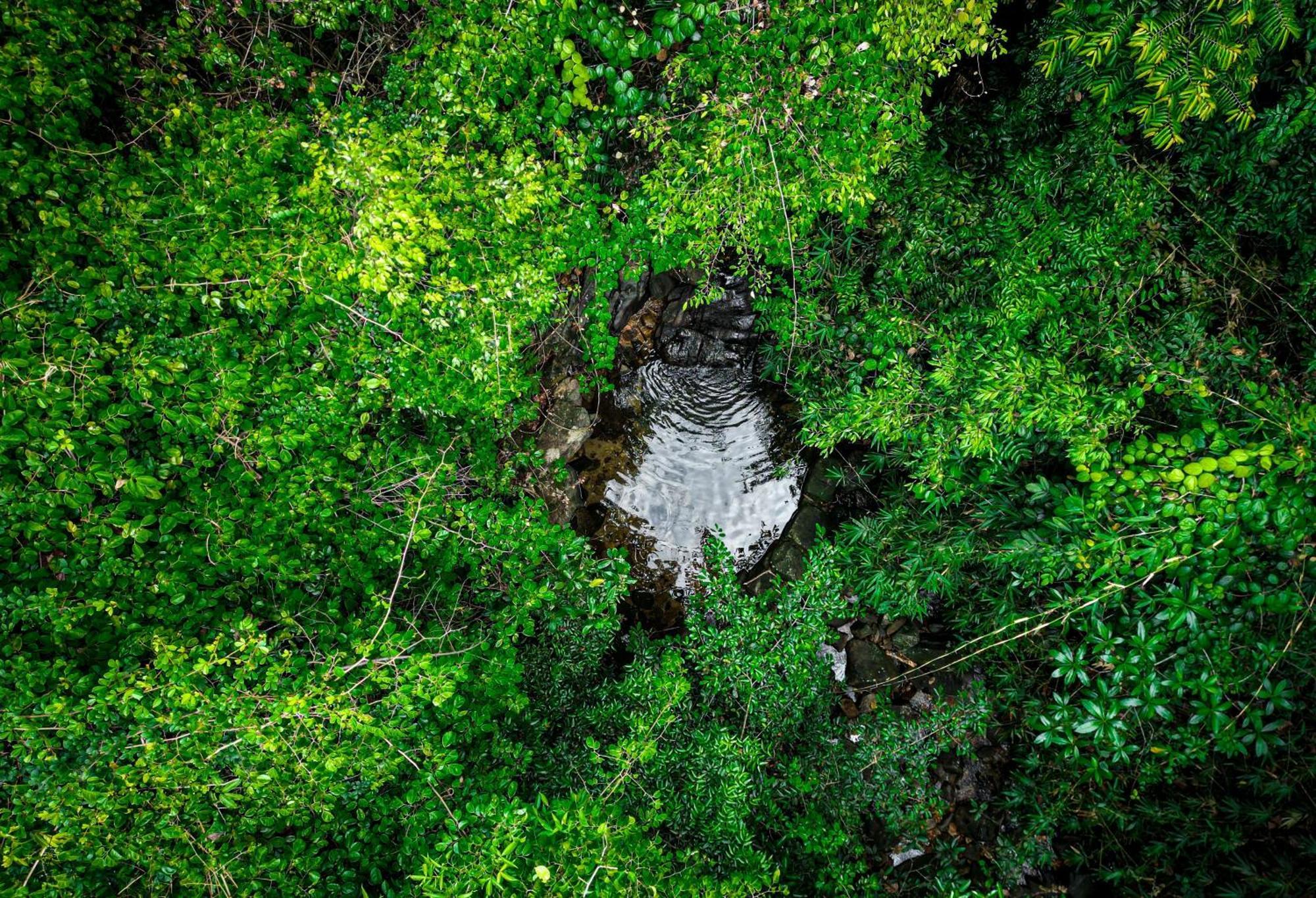 Singharaja Garden Agro Eco Lodge Pelawatta  Esterno foto