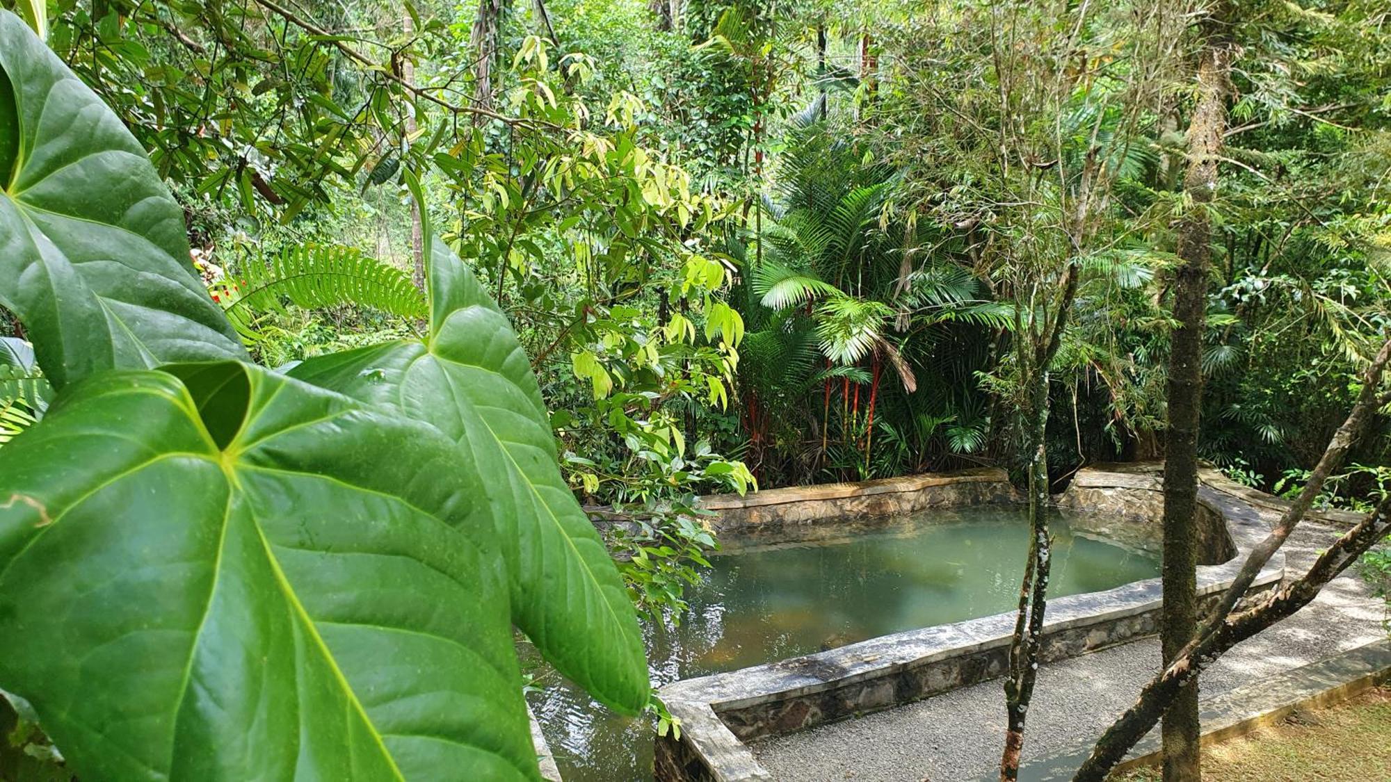 Singharaja Garden Agro Eco Lodge Pelawatta  Camera foto