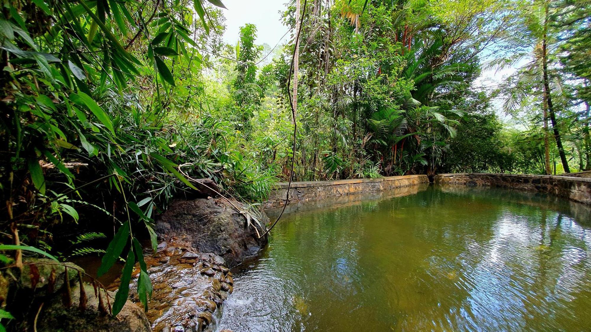 Singharaja Garden Agro Eco Lodge Pelawatta  Camera foto